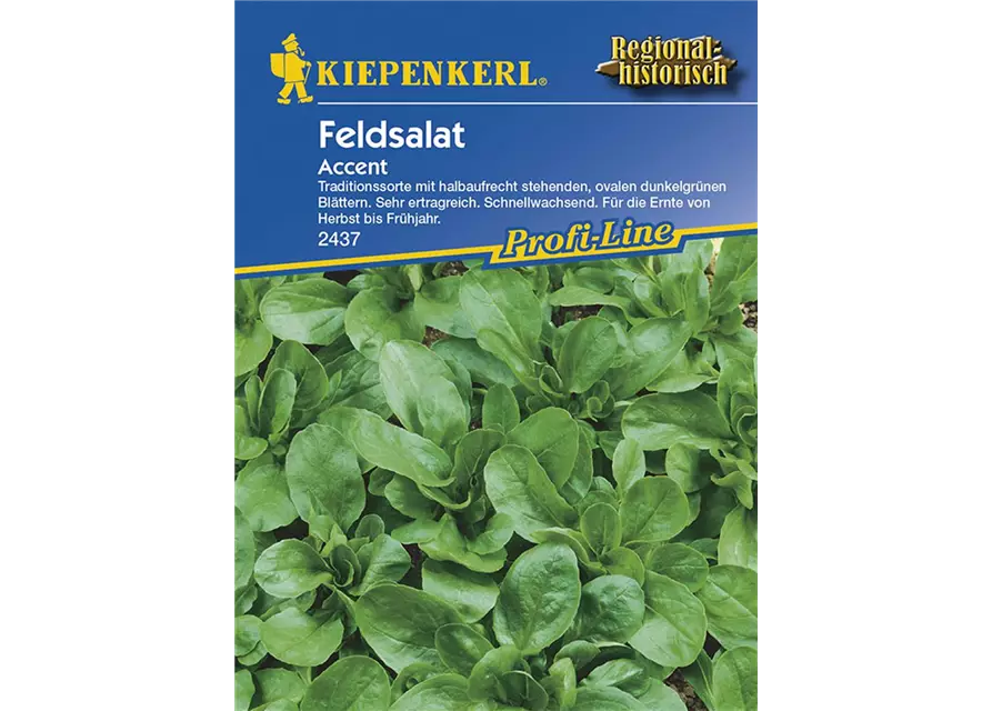 Feldsalat Accent