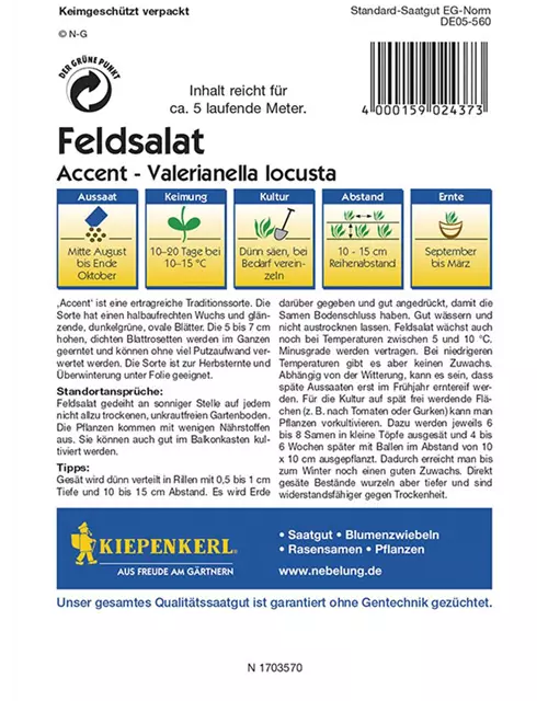 Feldsalat Accent