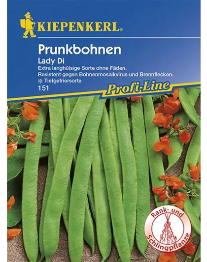 Prunkbohnen Lady Di