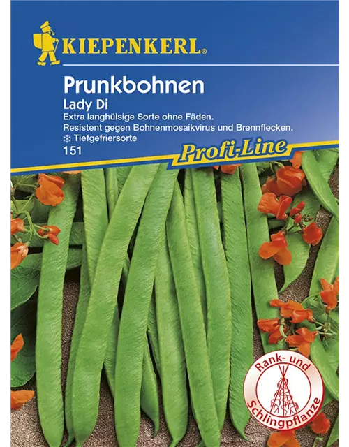 Prunkbohnen Lady Di