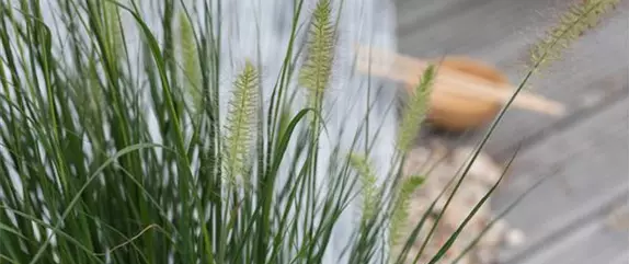 Gräser pflegen und dem Windspiel im Garten lauschen