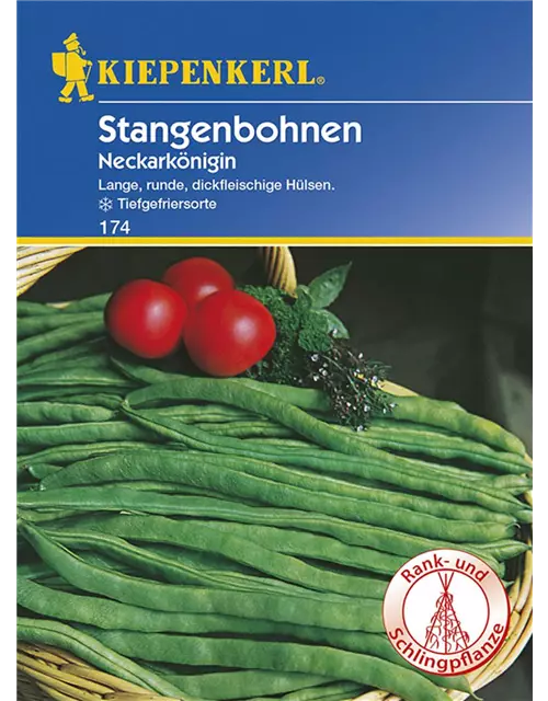 Stangenbohne Neckarkönigin