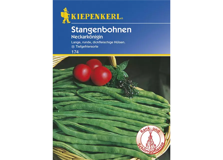 Stangenbohne Neckarkönigin