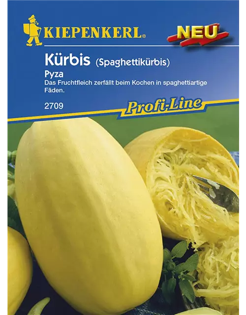 Kürbis Pyza