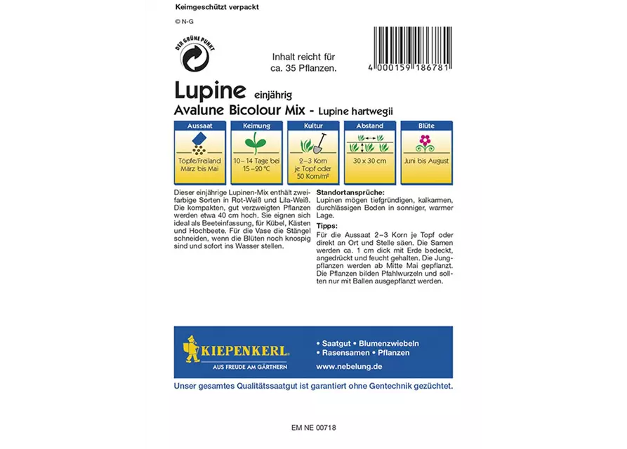 Lupine Avalune Bicolour Mix