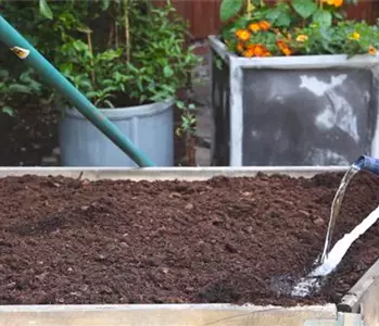 Gartensalat - Auslegen von Saatbändern