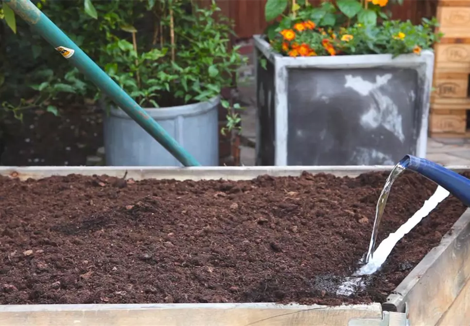 Gartensalat - Auslegen von Saatbändern