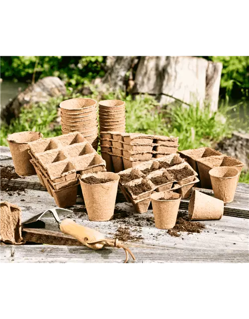 Anzuchttöpfe, eckig, 6cm, 24 Stück/Packung