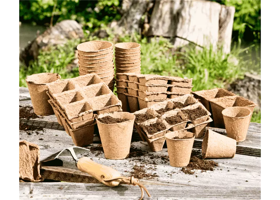 Anzuchttöpfe, eckig, 6cm, 24 Stück/Packung