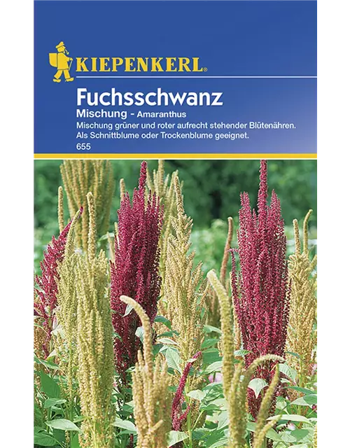 Amaranthus Fuchsschwanz Mix