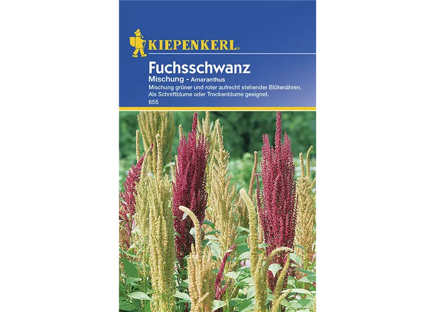 Amaranthus Fuchsschwanz Mix