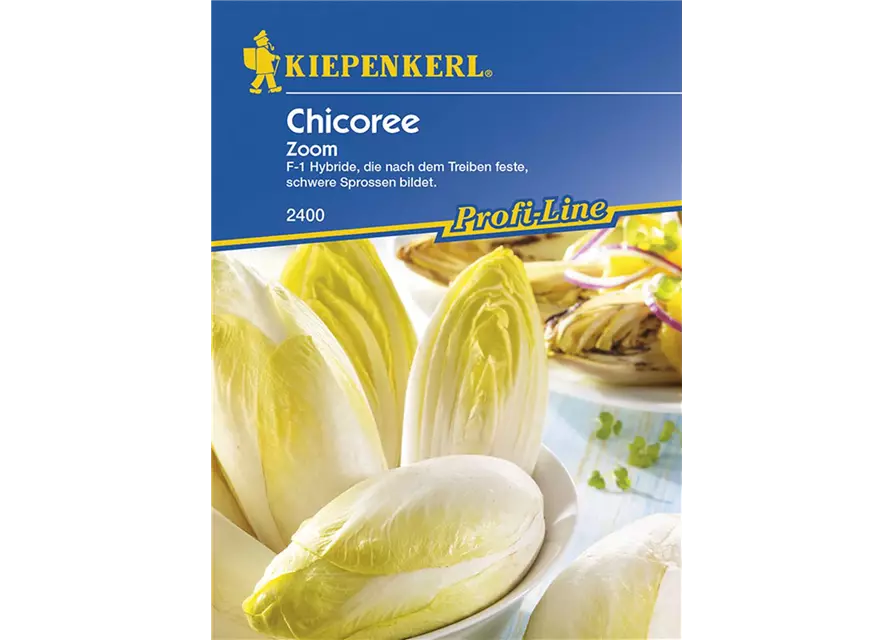 Chicoree Zoom