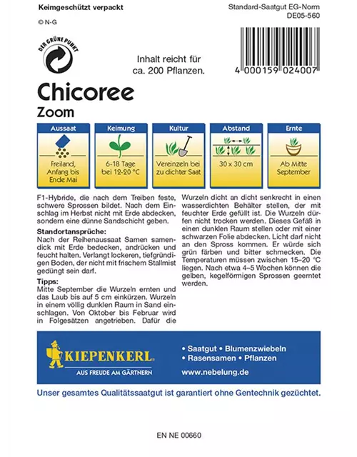 Chicoree Zoom