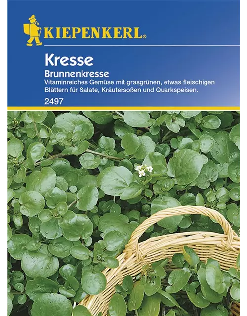 Brunnenkresse