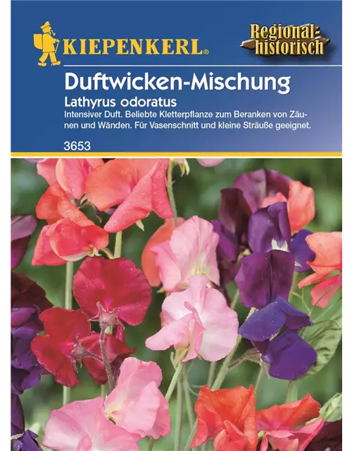 Lathyrus Duftwicken Mix