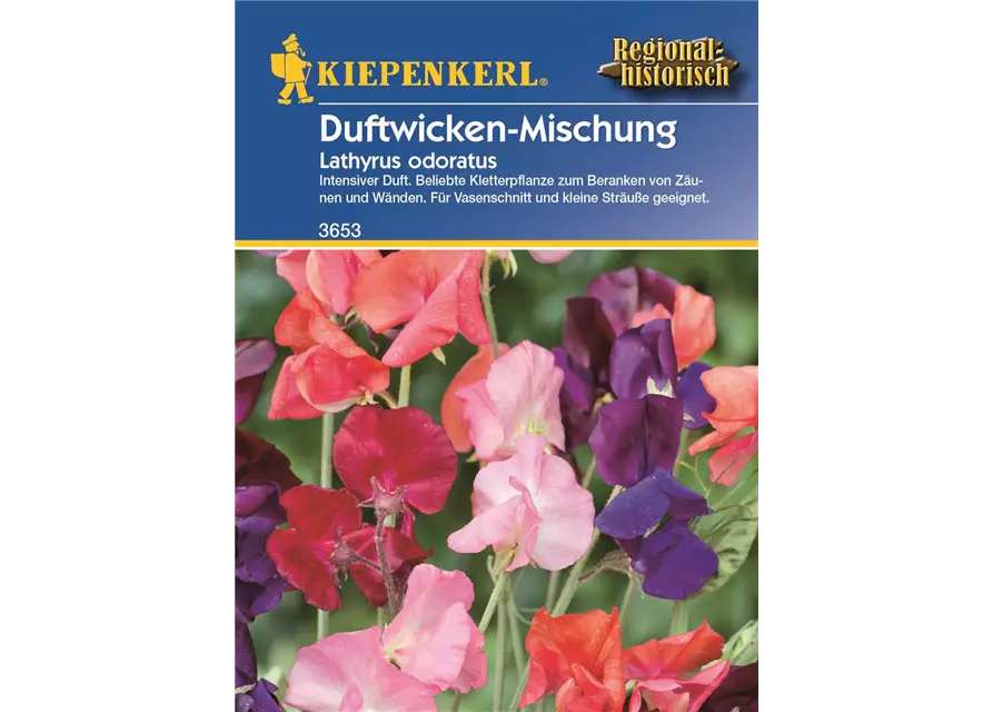 Lathyrus Duftwicken Mix