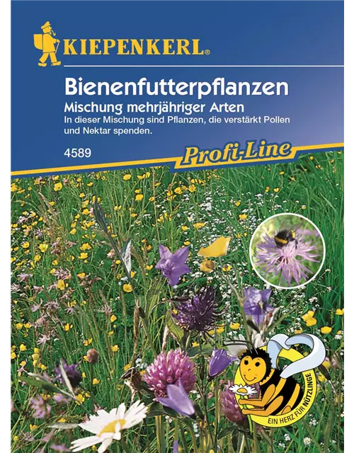 Bienenfutterpflanzen Mehrjährig