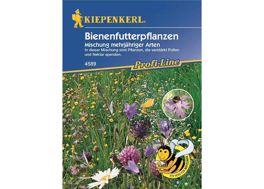 Bienenfutterpflanzen Mehrjährig