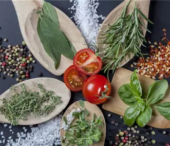 Immer frische Kräuter im Garten für Küchenprofis