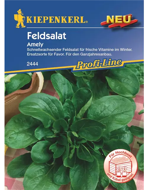 Feldsalat Amely