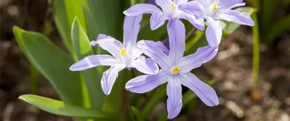 Frühling vor der Haustür – Zeit für Dekoration