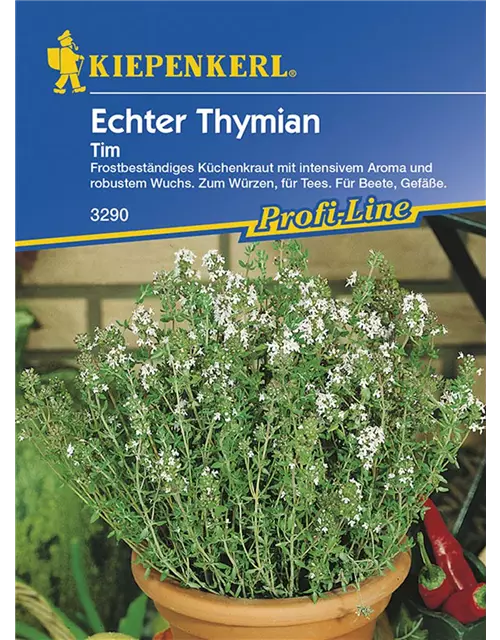 Echter Tymian Tim