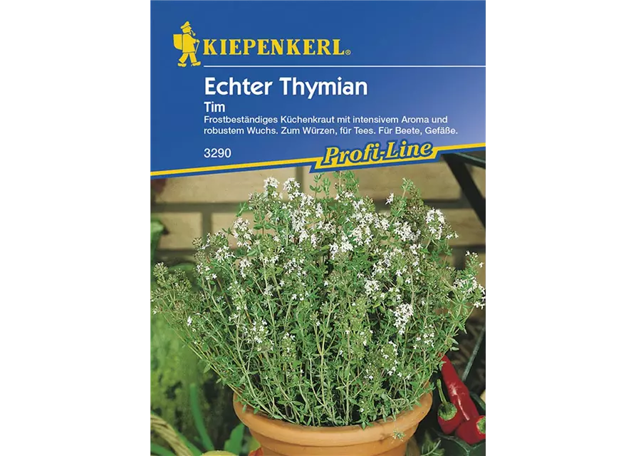 Echter Tymian Tim