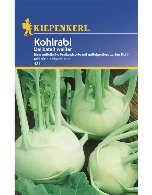 Kohlrabi Delikateß weiß