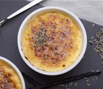 Crème brûlée mit Lavendel