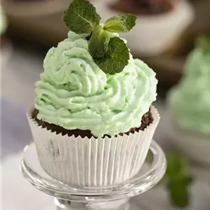 Schokoladen-Pfefferminz-Cupcakes