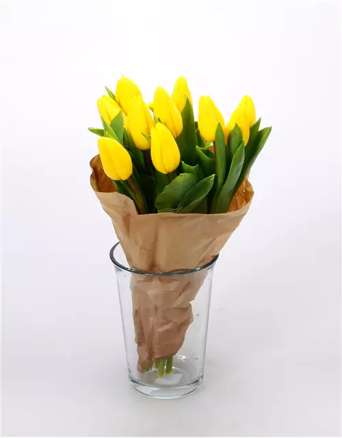 Tulpen im Bund, gelb