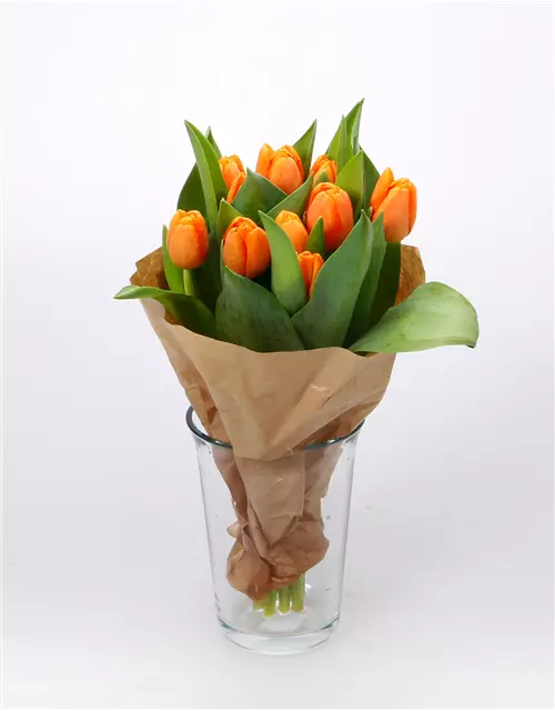 Tulpen im Bund, orange