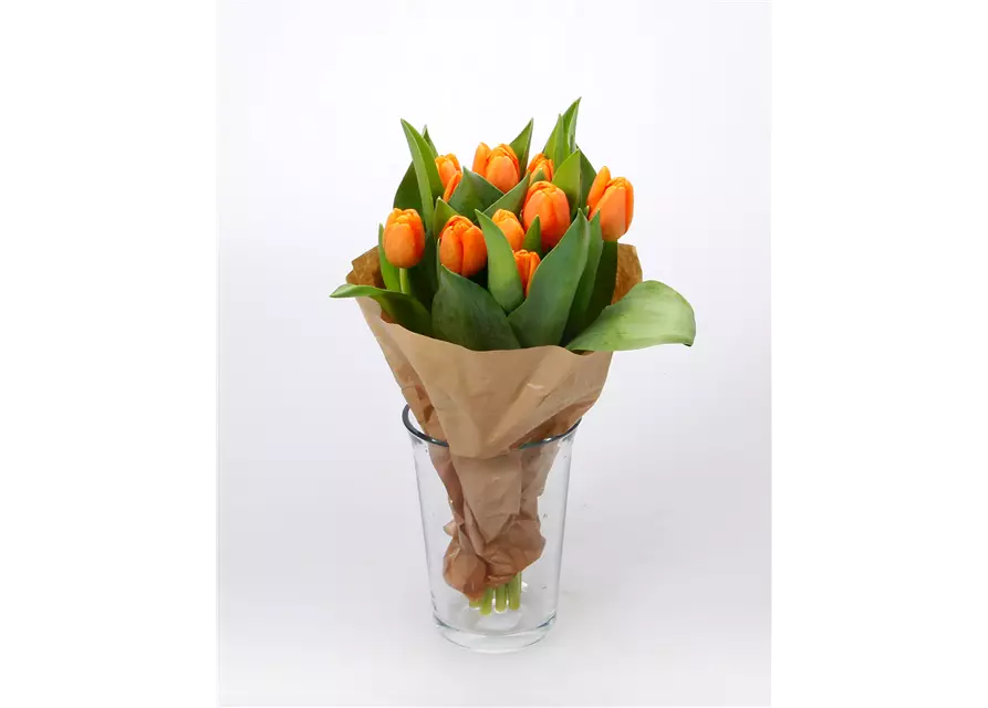 Tulpen im Bund, orange