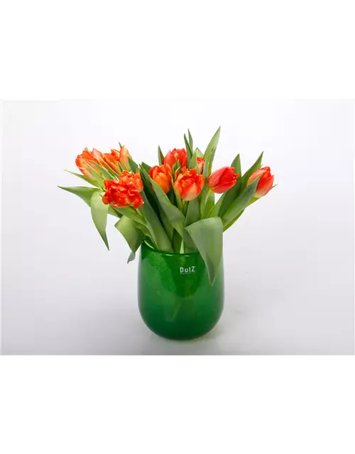 Gefüllte Tulpen im Bund, dunkles orange