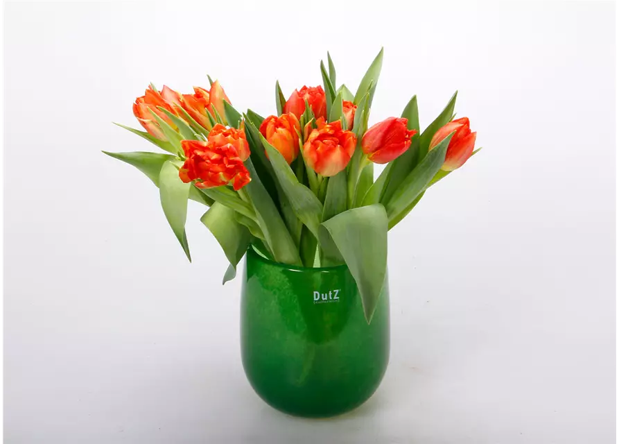 Gefüllte Tulpen im Bund, dunkles orange