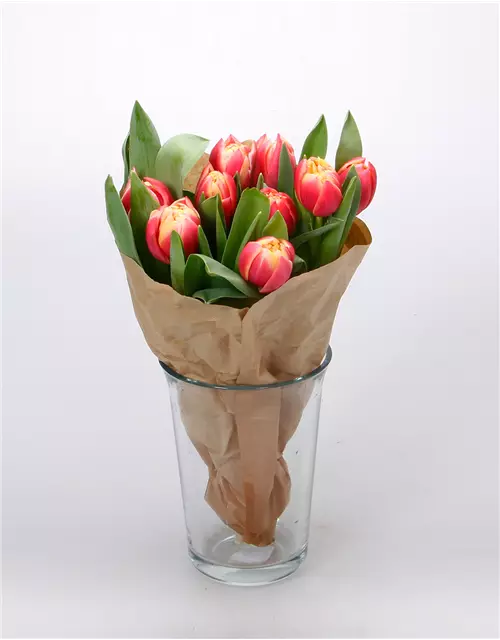 Gefüllte Tulpen im Bund, rosa