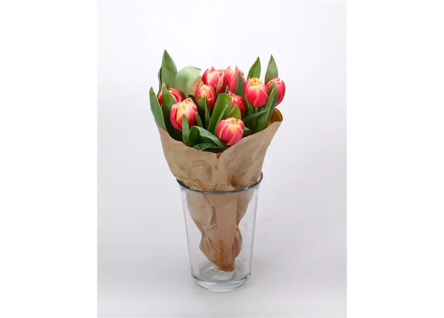 Gefüllte Tulpen im Bund, rosa