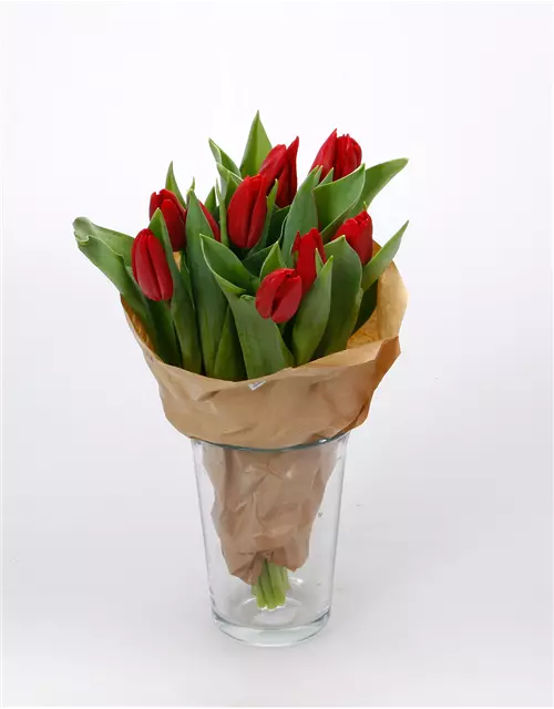 Tulpen im Bund, rot