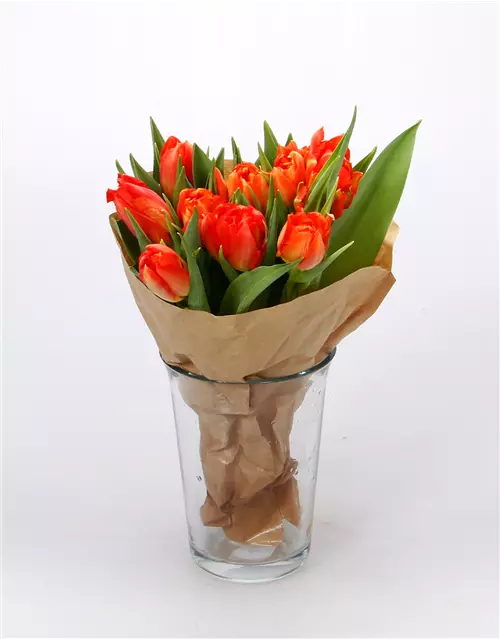 Gefüllte Tulpen im Bund, dunkles orange