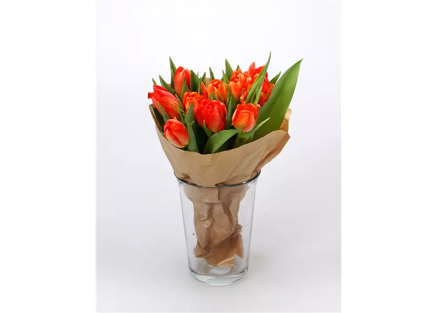 Gefüllte Tulpen im Bund, dunkles orange