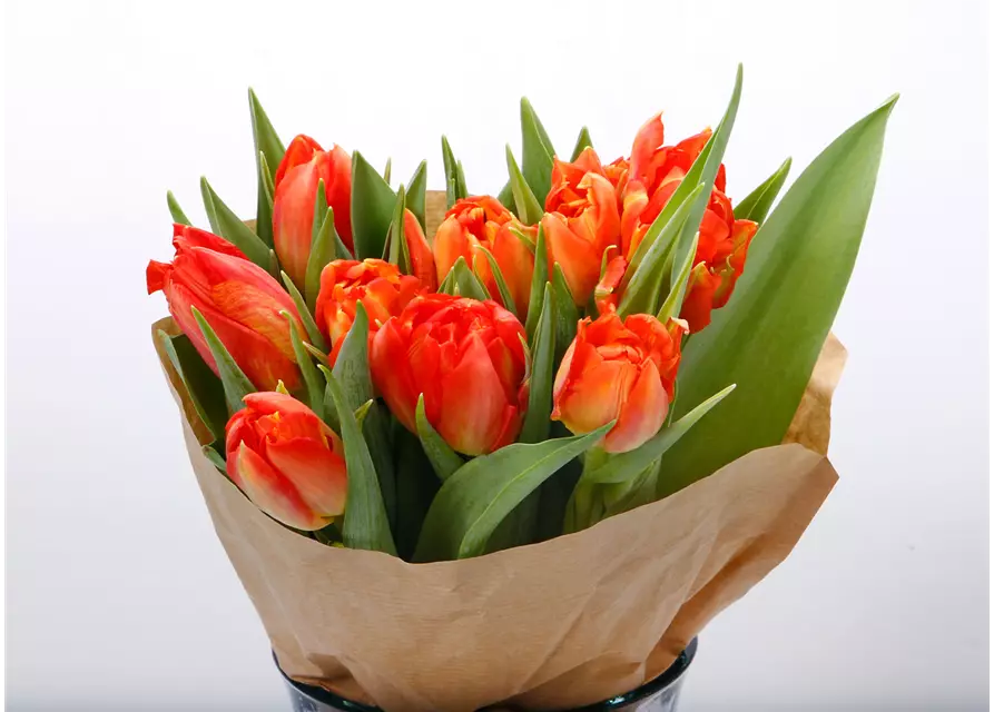 Gefüllte Tulpen im Bund, dunkles orange