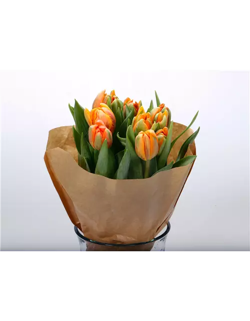 Gefüllte Tulpen im Bund, orange