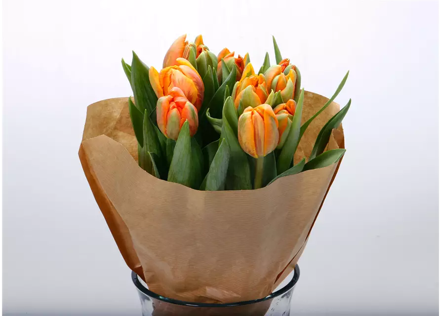 Gefüllte Tulpen im Bund, orange