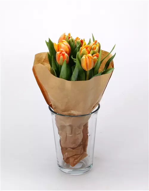 Gefüllte Tulpen im Bund, orange