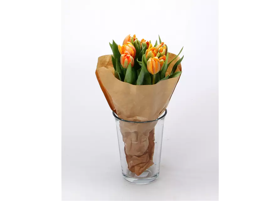 Gefüllte Tulpen im Bund, orange