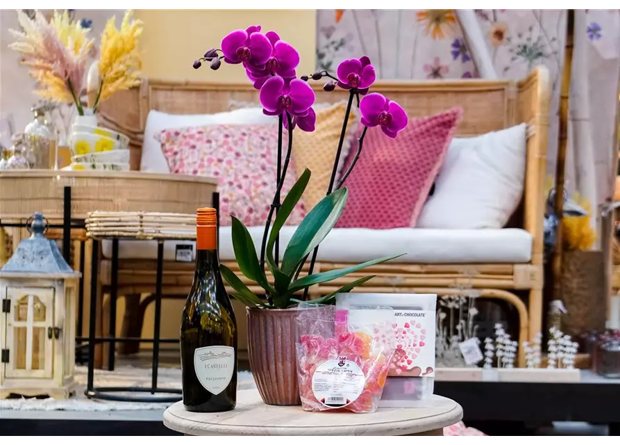 Orchidee im Topf mit Wein & Süßem