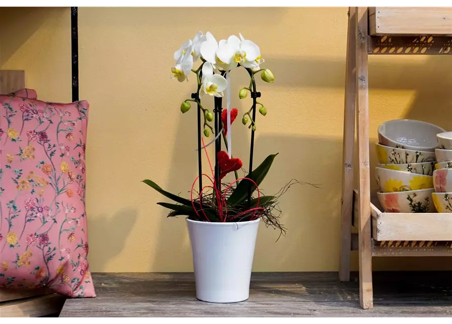 Dekorierte Orchidee mit Herzen