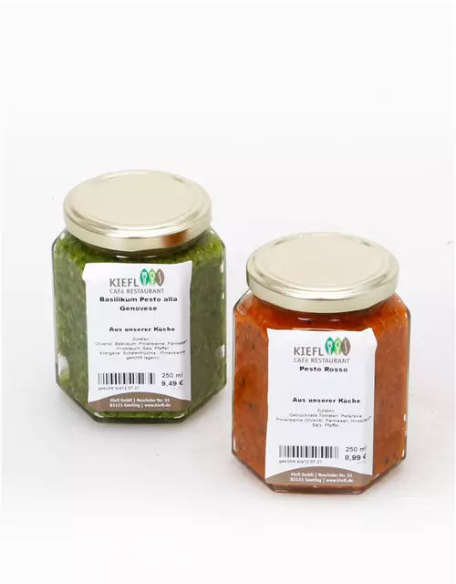 Hausgemachtes Basilikum Pesto