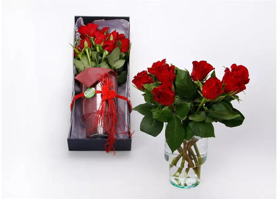 Geschenkbox 'Rosenkavalier' zum Valentinstag