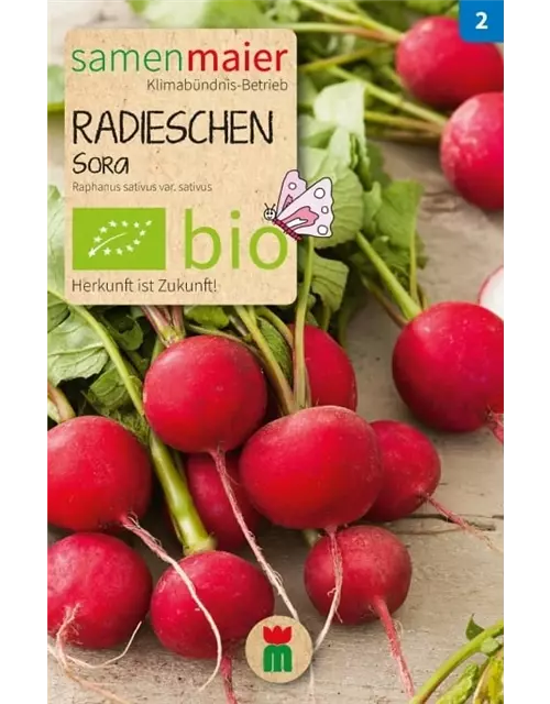 BIO-Samen Radieschen 'Sora'